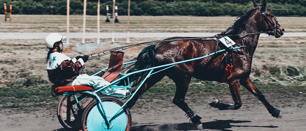 Horse betting strategy