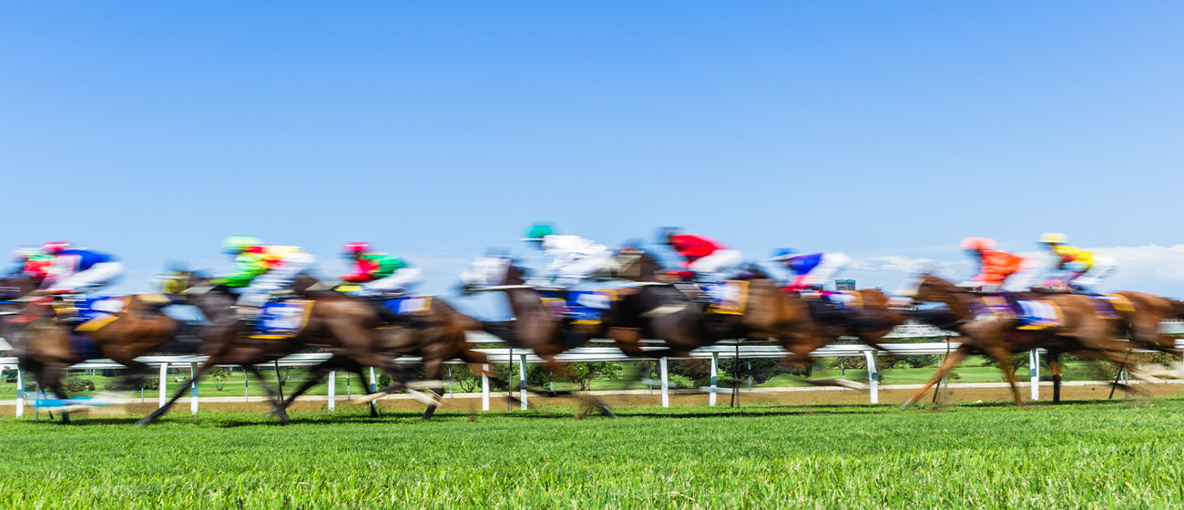 How to read a horse racing program