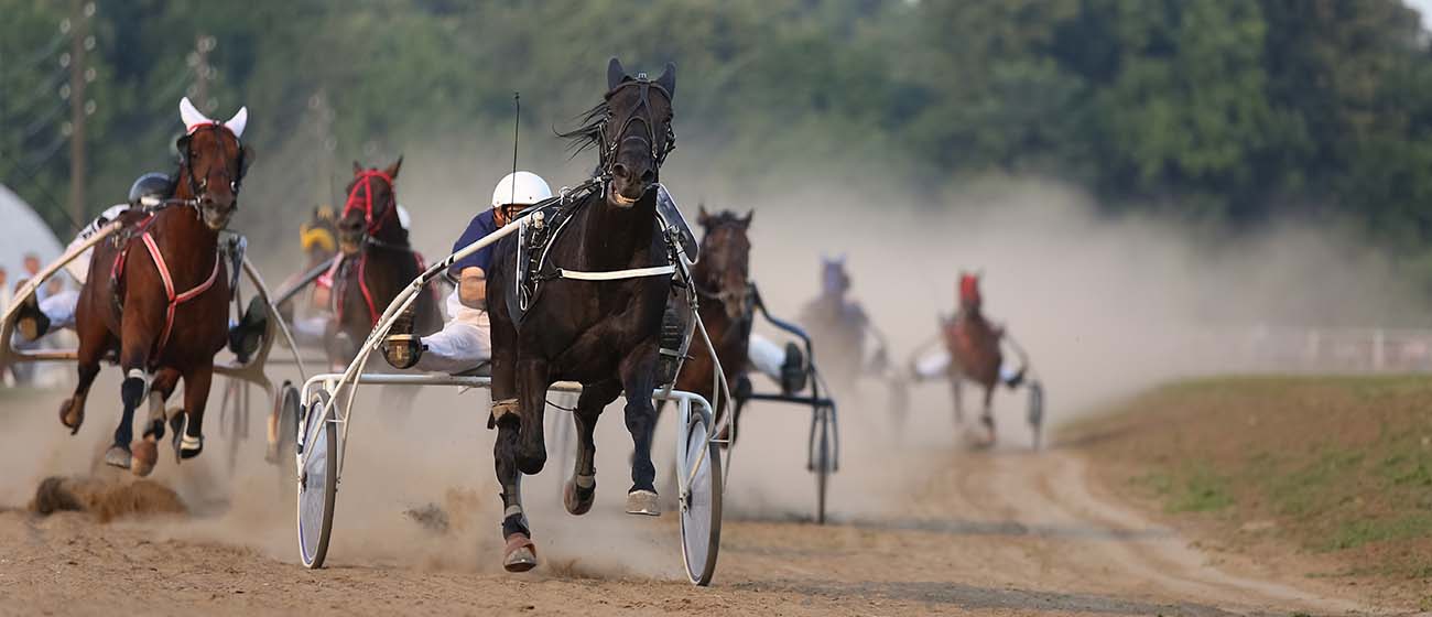 Horse Racing With Carts